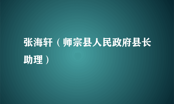 张海轩（师宗县人民政府县长助理）