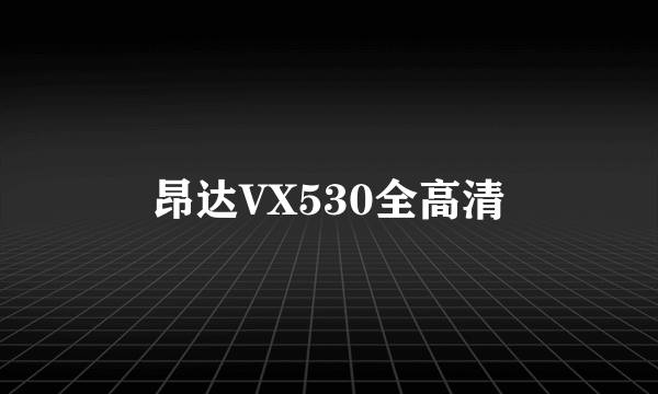 昂达VX530全高清