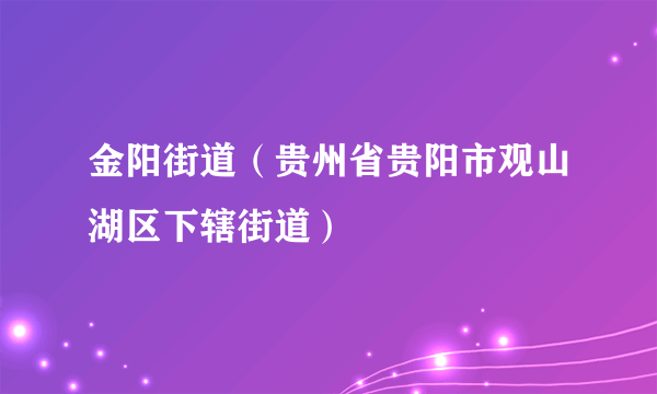 金阳街道（贵州省贵阳市观山湖区下辖街道）