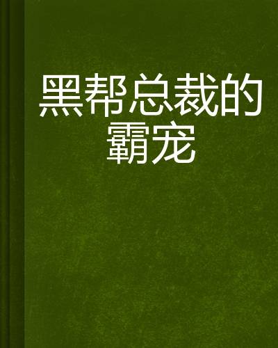 黑帮总裁的霸宠