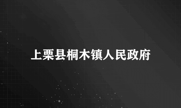 上栗县桐木镇人民政府