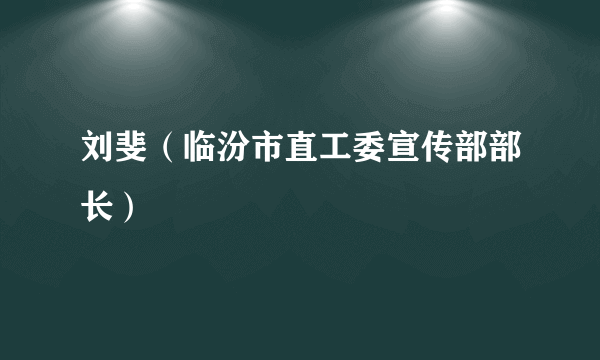 刘斐（临汾市直工委宣传部部长）