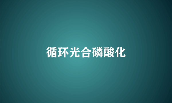 循环光合磷酸化