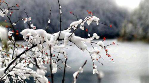 雪幡