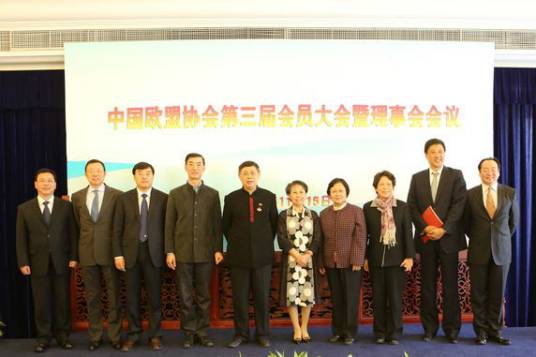 中国欧盟协会