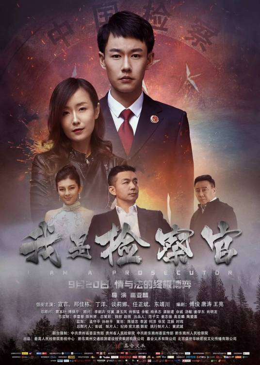 我是检察官（2018年高亚麟执导的电影）
