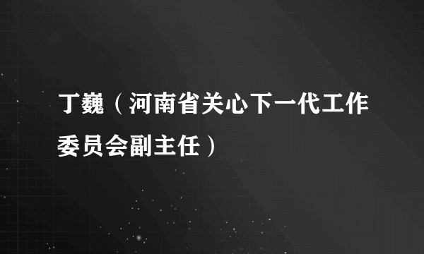 丁巍（河南省关心下一代工作委员会副主任）