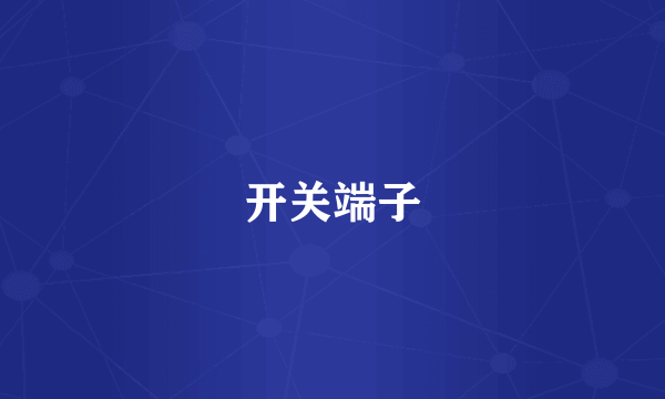 开关端子