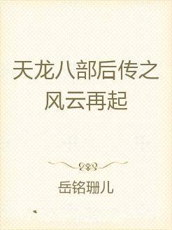 天龙八部后传之风云再起