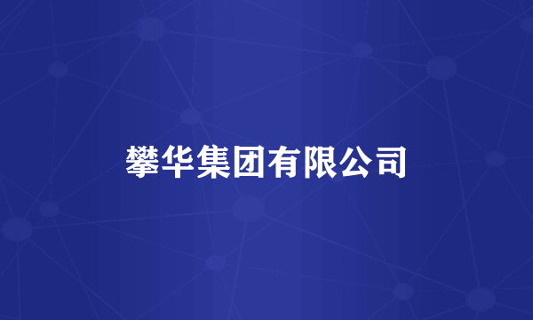 攀华集团有限公司
