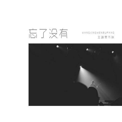 忘了没有（王靖雯不胖演唱歌曲）