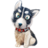 狗狗大全