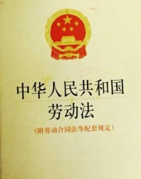 中华人民共和国劳动法（2008年法律出版社出版的图书）