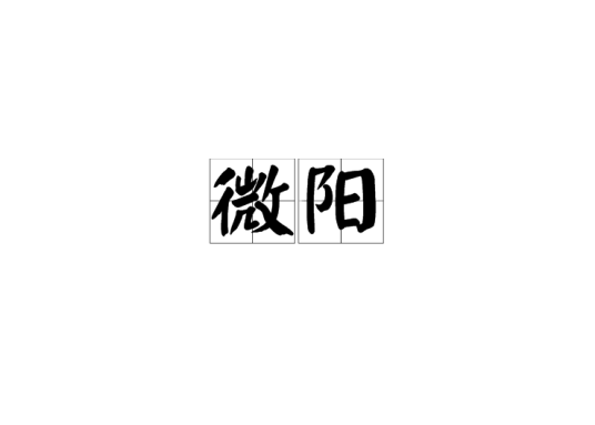 微阳（词语解释）