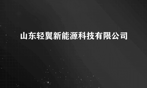 山东轻翼新能源科技有限公司