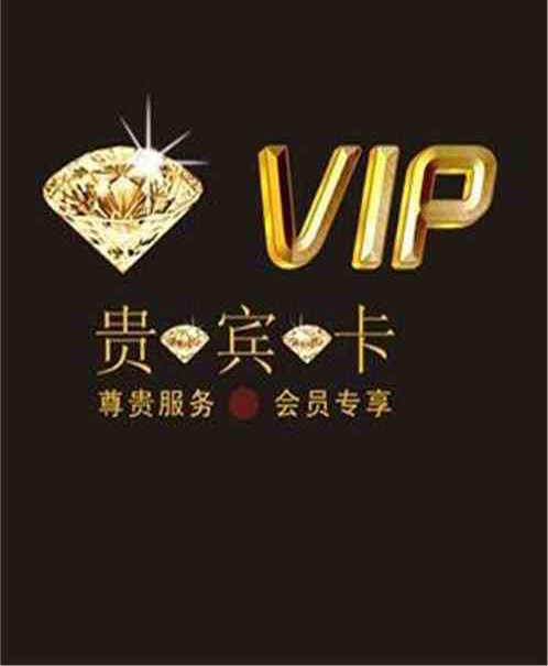 我是系统的VIP会员