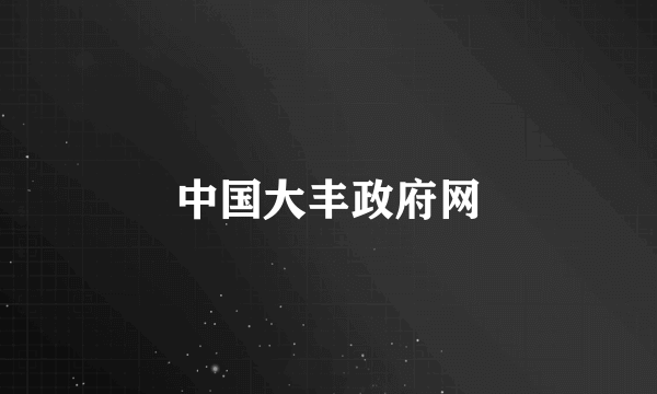 中国大丰政府网