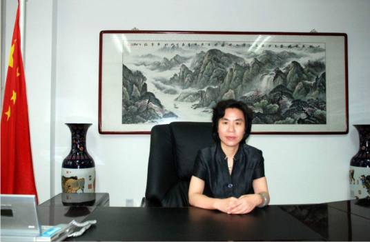 宁淑敏（石家庄市医保中心主任）