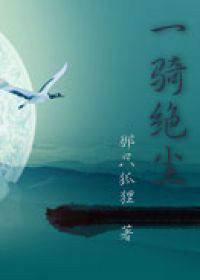 一骑绝尘（2011年出版的图书）