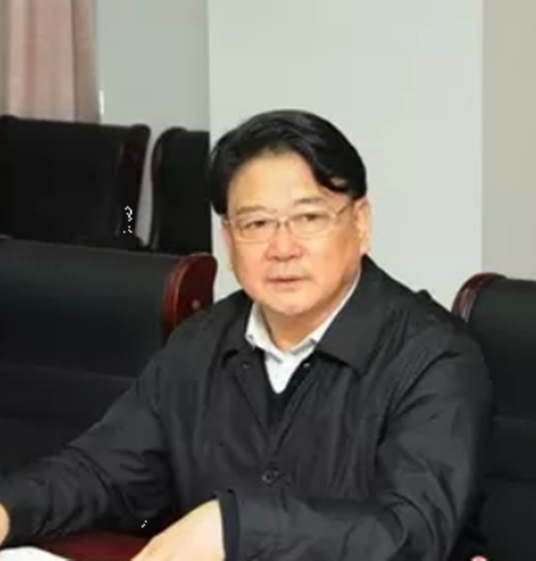 朱枫（中盐安徽红四方股份公司董事长）