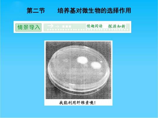选择培养基