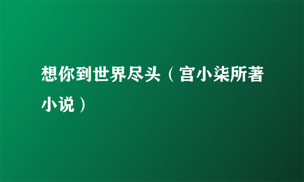 想你到世界尽头（宫小柒所著小说）