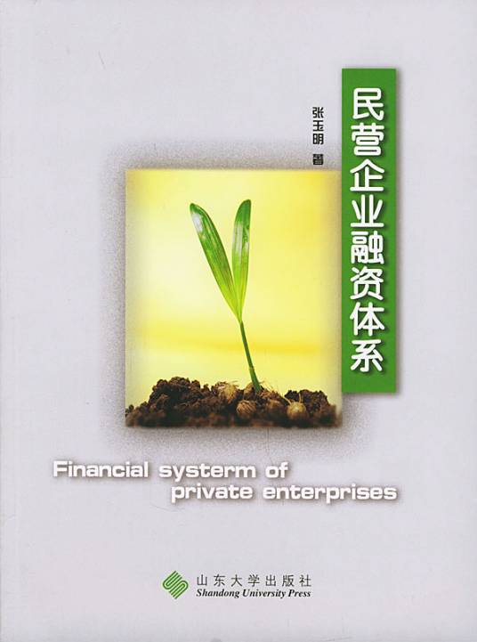 民营企业融资体系