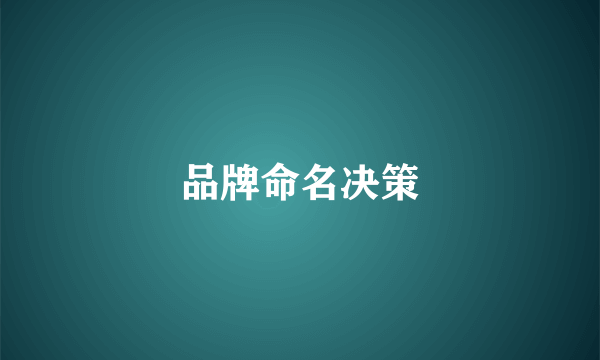 品牌命名决策