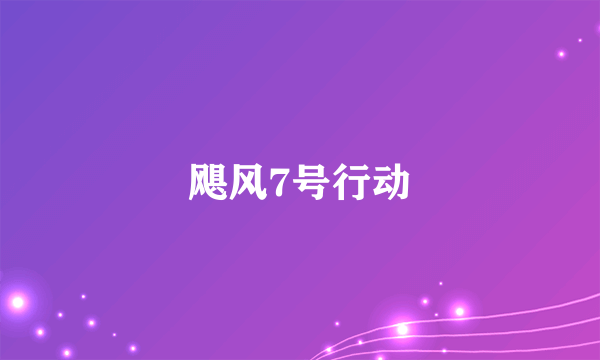 飓风7号行动