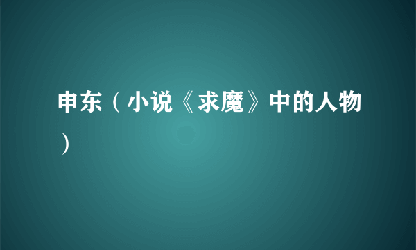 申东（小说《求魔》中的人物）