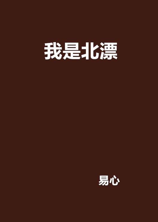 我是北漂（小说名称）