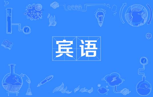 宾语（语句成分）
