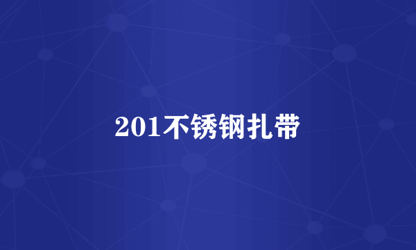 201不锈钢扎带