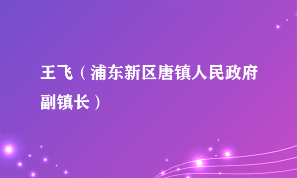 王飞（浦东新区唐镇人民政府副镇长）