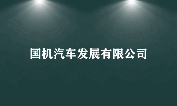 国机汽车发展有限公司