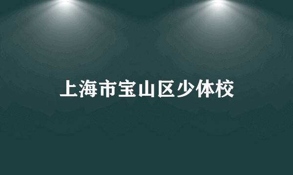 上海市宝山区少体校