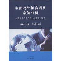 中国对外投资项目案例分析