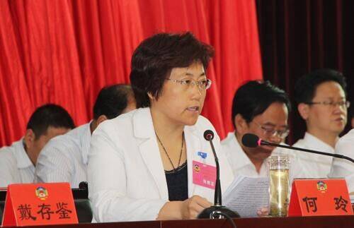何玲（赣州市章贡区政协第五届委员会副主席）
