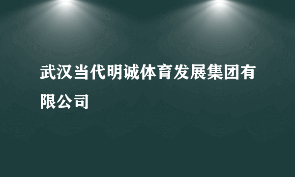 武汉当代明诚体育发展集团有限公司