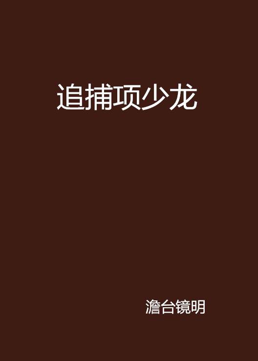 追捕项少龙