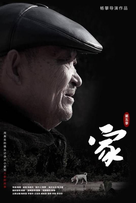 家（2016年杨攀执导的纪录片）
