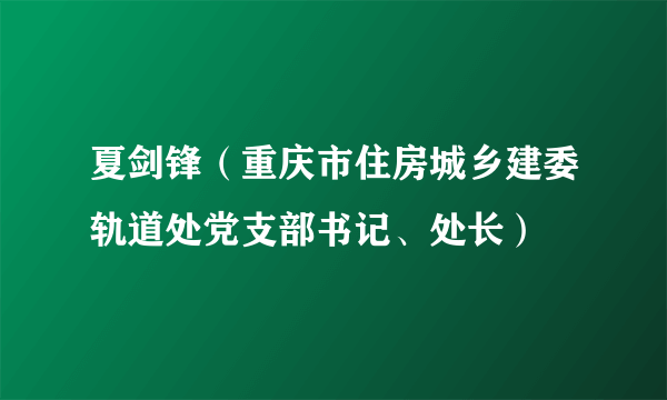 夏剑锋（重庆市住房城乡建委轨道处党支部书记、处长）