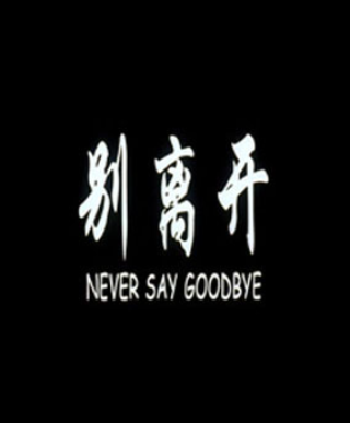 别离开（2004年孙小茹执导的电影）