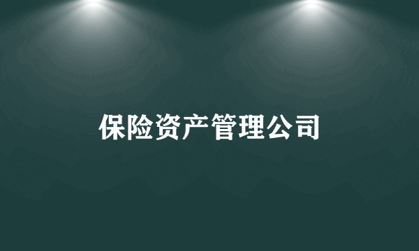 保险资产管理公司