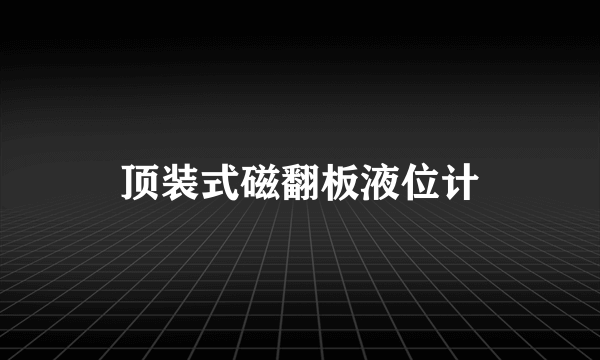 顶装式磁翻板液位计