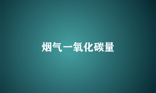 烟气一氧化碳量