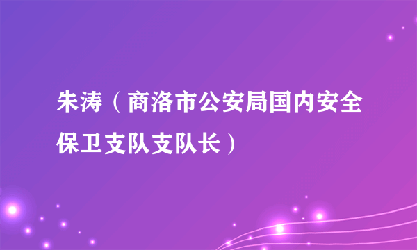 朱涛（商洛市公安局国内安全保卫支队支队长）