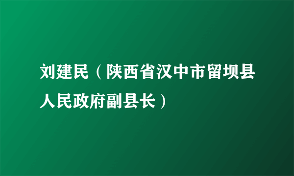 刘建民（陕西省汉中市留坝县人民政府副县长）