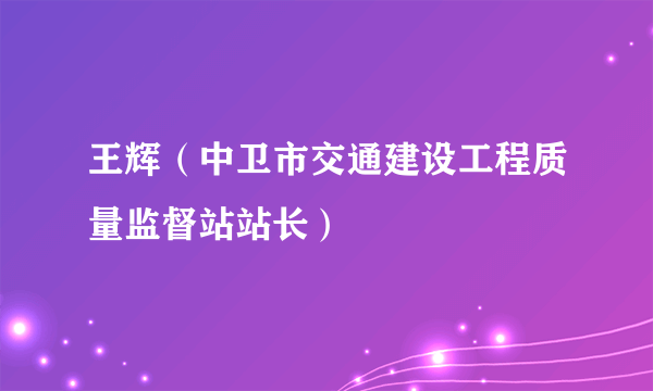 王辉（中卫市交通建设工程质量监督站站长）