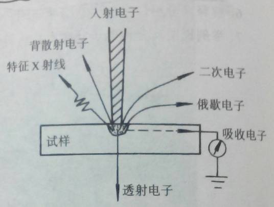 背散射电子